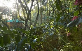 Dream Catcher Resort Munnar Price